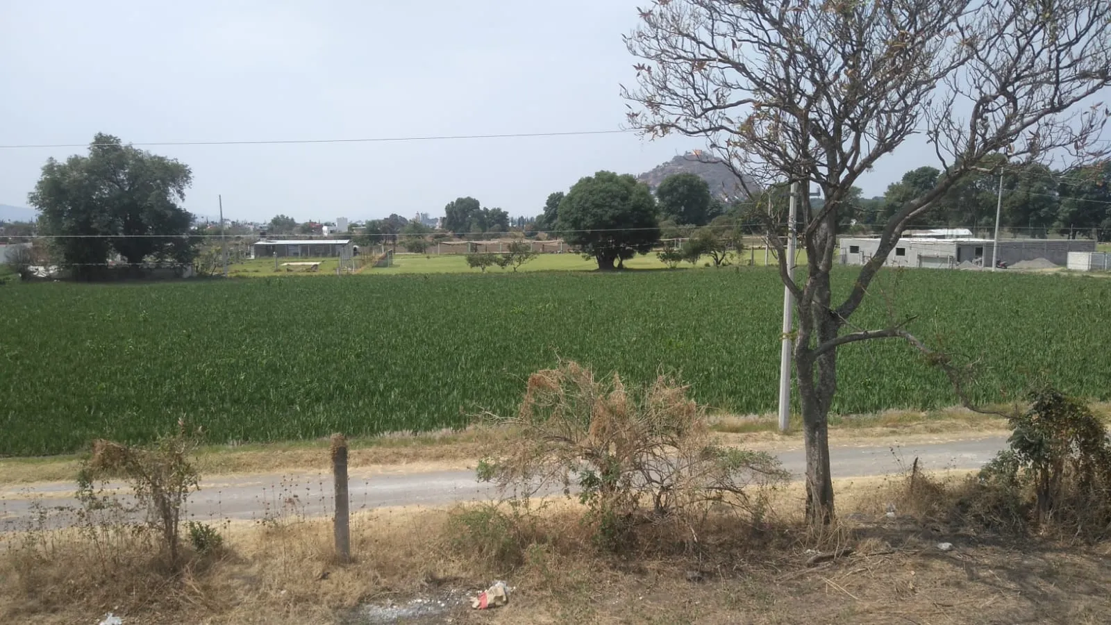 Terreno regular de 1,765 m2 Xalpatlaco servicios Atlixco Puebla - 1