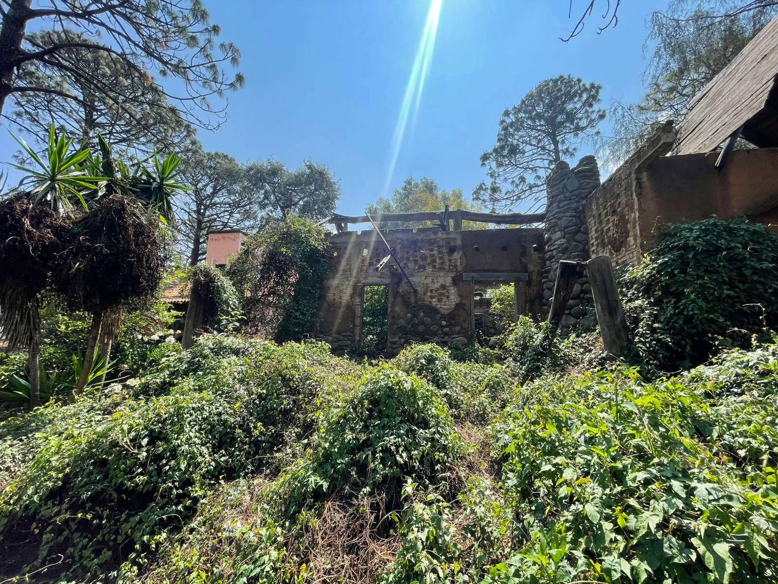 Oportunidad terreno en Lomas Verdes, Mazamitla - 4