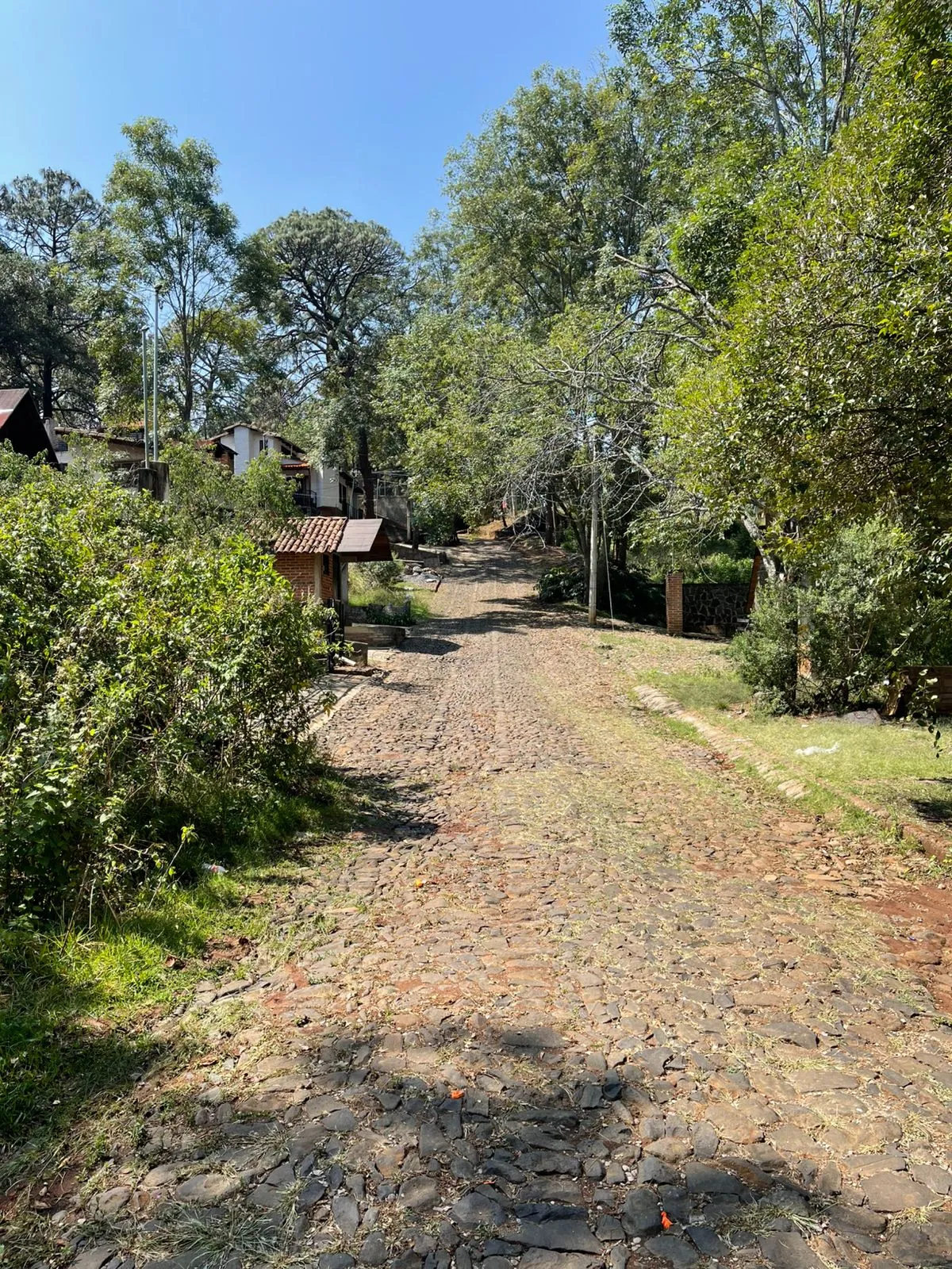 Oportunidad terreno en Lomas Verdes, Mazamitla - 7