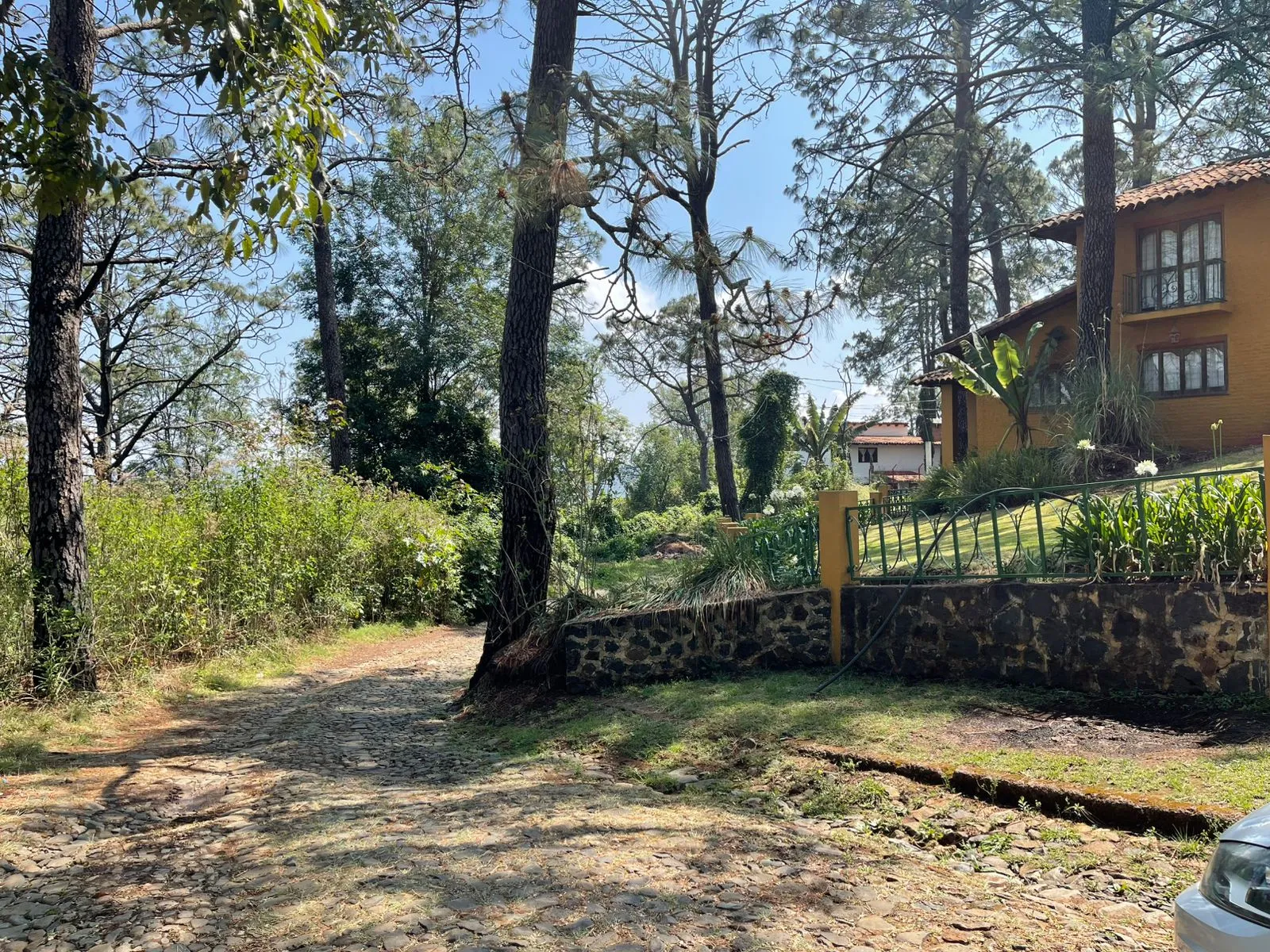Oportunidad terreno en Lomas Verdes, Mazamitla - 6