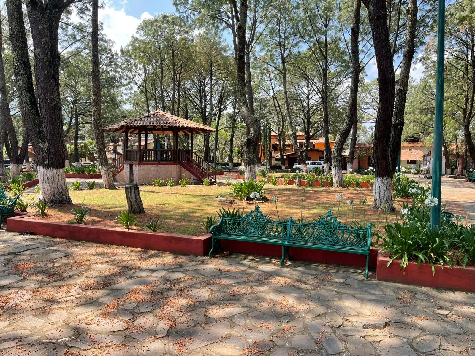 Oportunidad terreno en Lomas Verdes, Mazamitla - 3