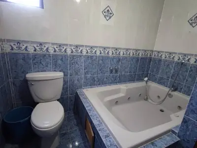 Miniatura 9