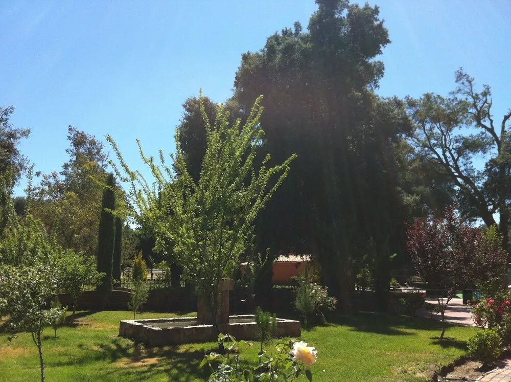 📍Venta Terreno Rancho Santa Veronica,Tecate! - 6