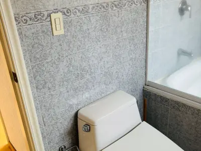 Miniatura 10