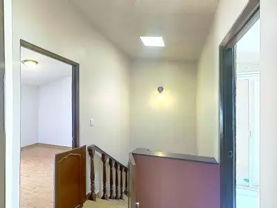 Miniatura 10