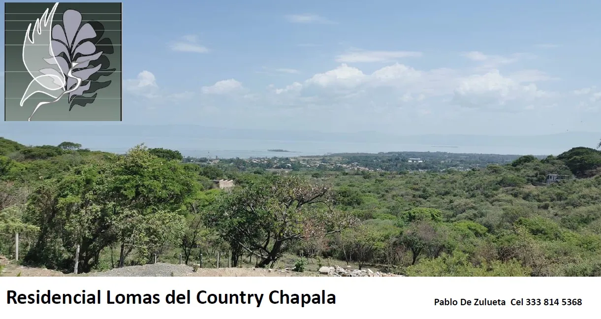 Terreno Chapala - 7