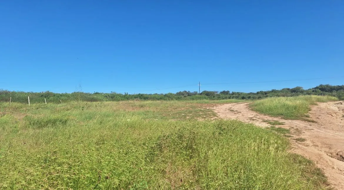 Terreno en Venta con 35m de Frente de Playa en el Nuevo Mazatlán - 6