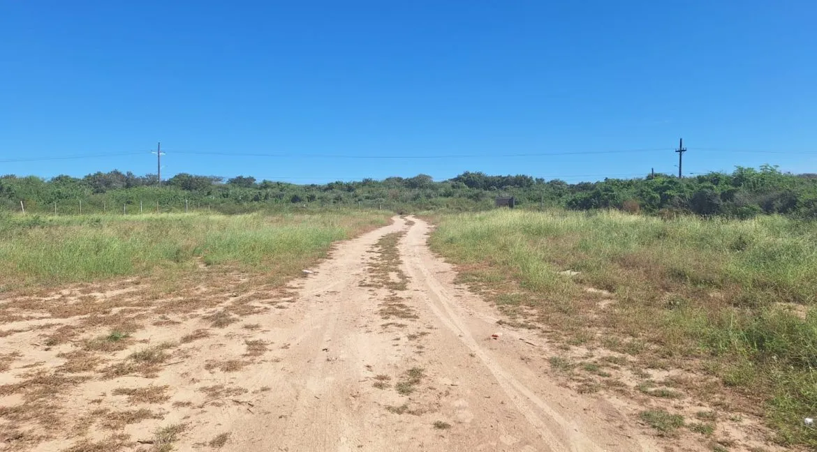 Terreno en Venta con 35m de Frente de Playa en el Nuevo Mazatlán - 5