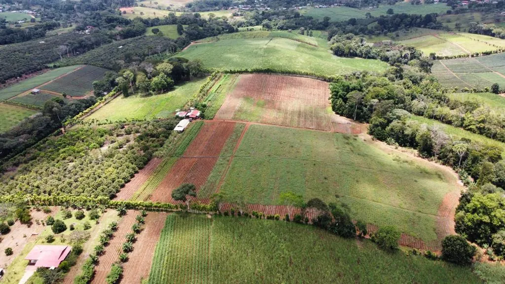 Excepcional Finca Productiva en Pérez Zeledón, Costa Rica - 3