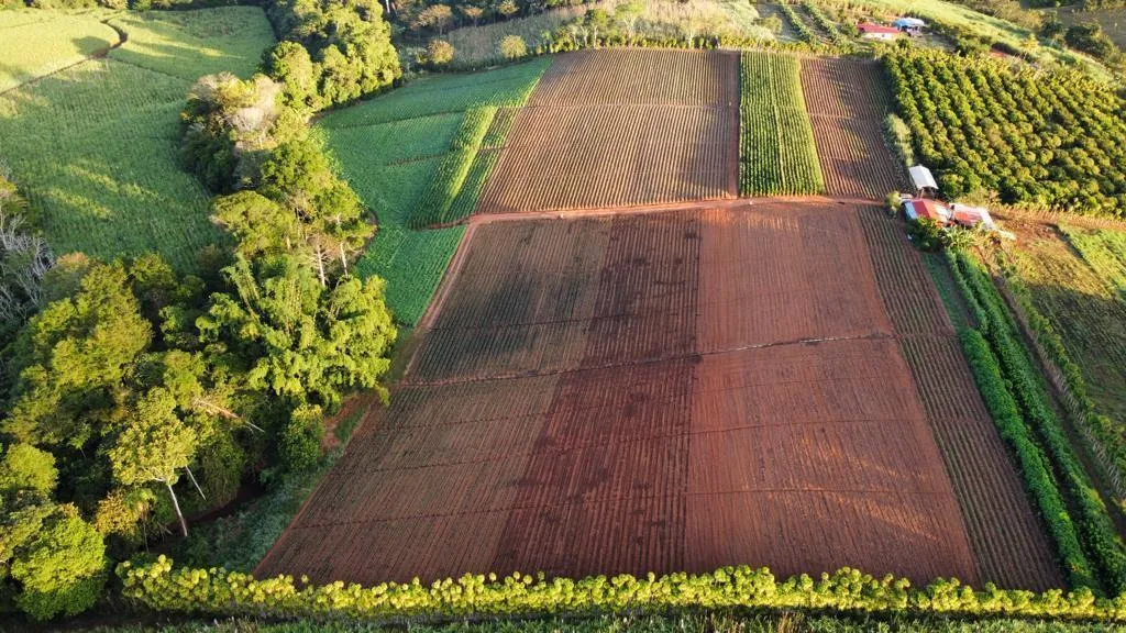 Excepcional Finca Productiva en Pérez Zeledón, Costa Rica - 2